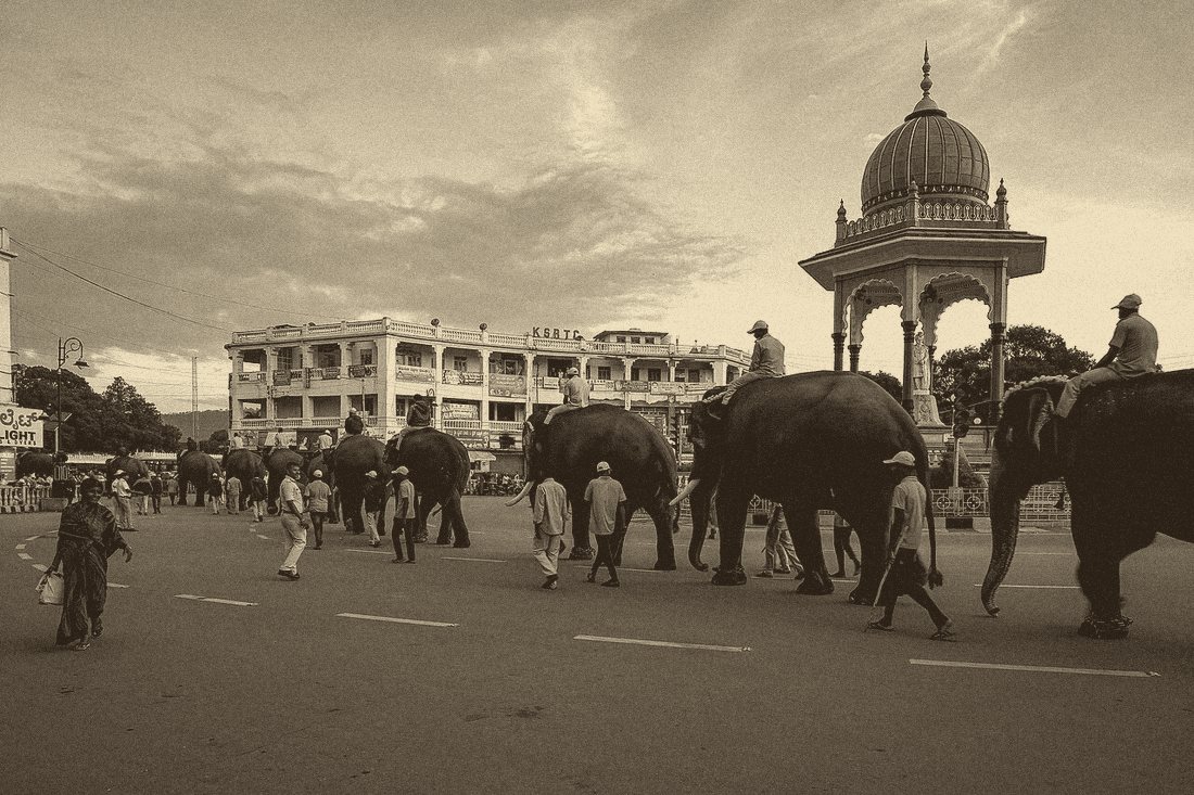 ಅರಮನೆಗೆ ಮರಳುತ್ತಿರುವ ದಸರಾ ಆನೆಗಳು (ಸಂಗ್ರಹ ಚಿತ್ರ).